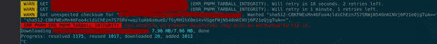 PNPM TARBALL INTEGRITY ERROR